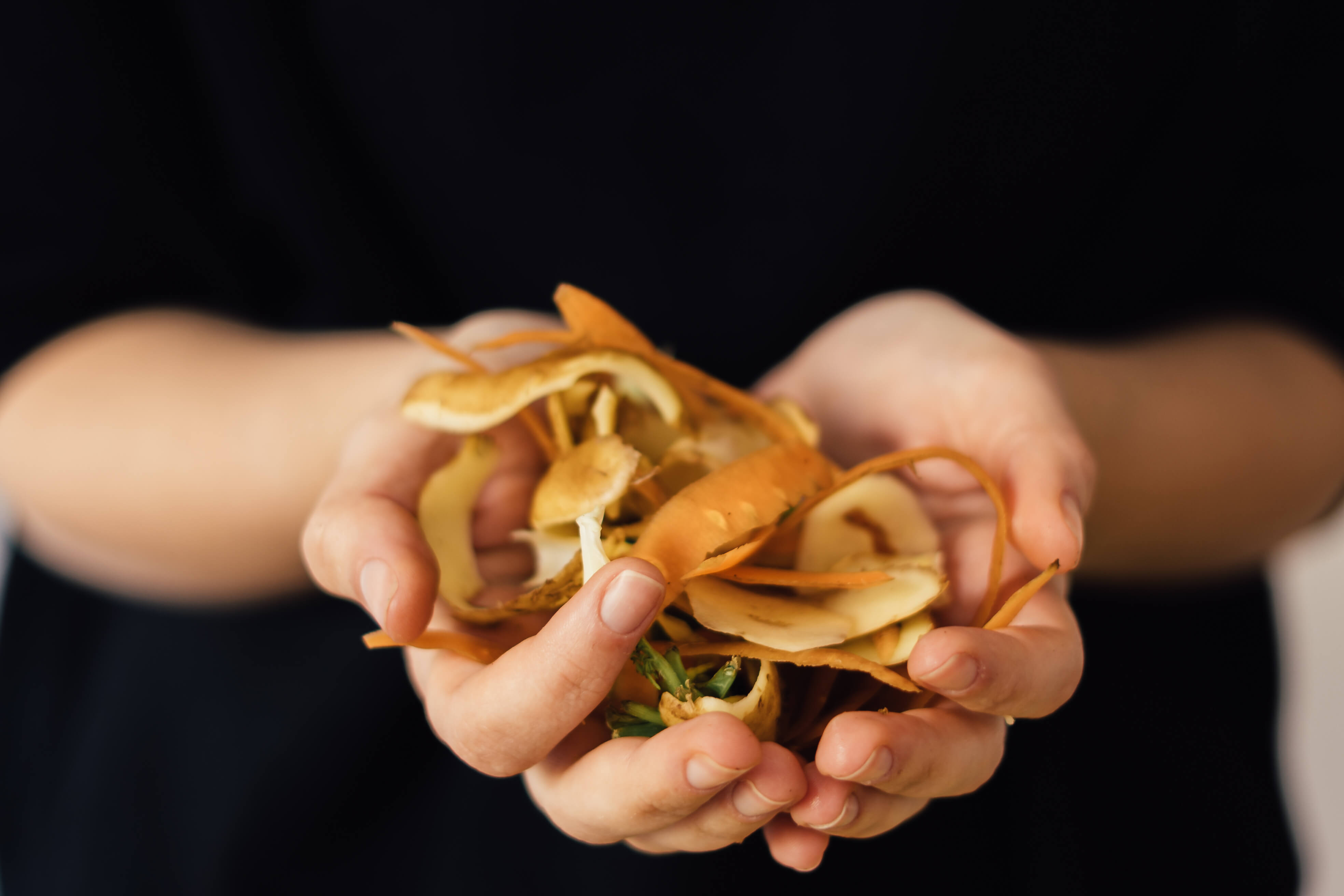 Hands holding vegetables