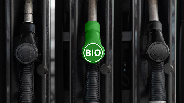 biofuels meat protein