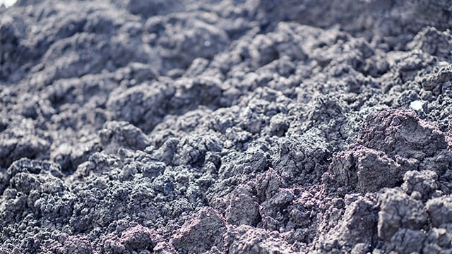 Sludge_dry_cake_in_wastewater_treatment