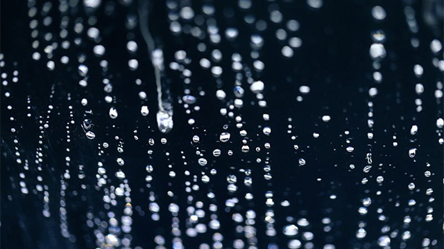 Water drops on a surface