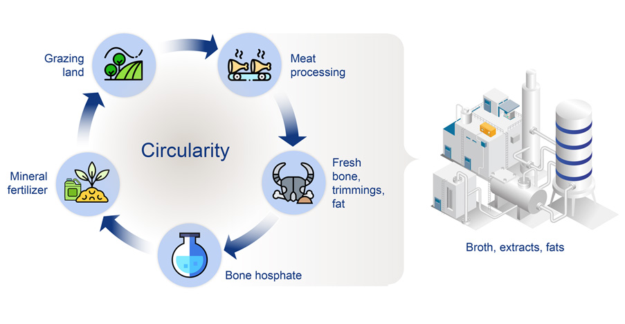 MicrosoftTeams image (3)
