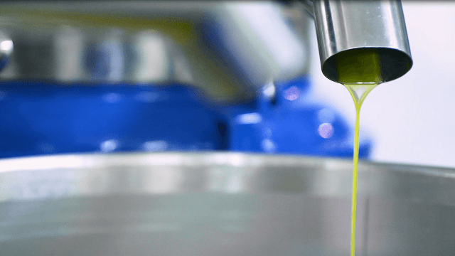 Olive oil processing The Il Frantolio case story 640x360