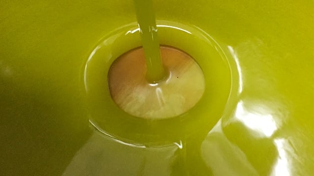 Olive oil separation