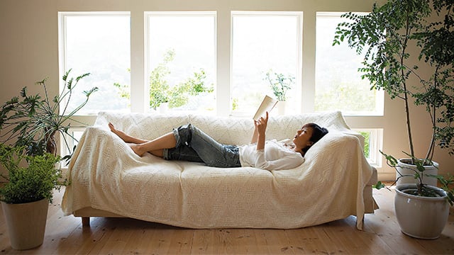 living room with a sofa