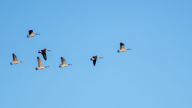 FCM emissions legislation640x360