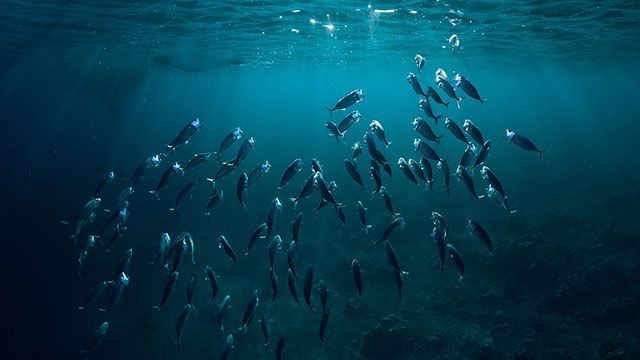 kates blog article03 640x360