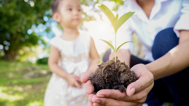 Sustainable optimizat640