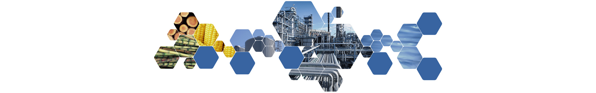 Bio process 1920x300